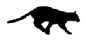 StellarCAT Logo